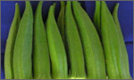 Okra