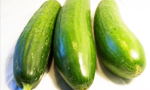 Cucumber